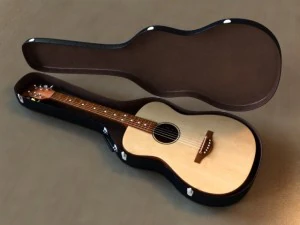 guitar case 3D Model