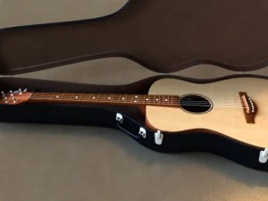 guitar case 3D Model
