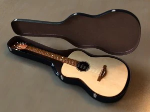 guitar case 3D Model
