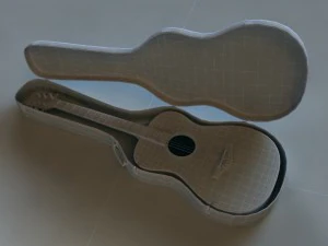 guitar case 3D Model