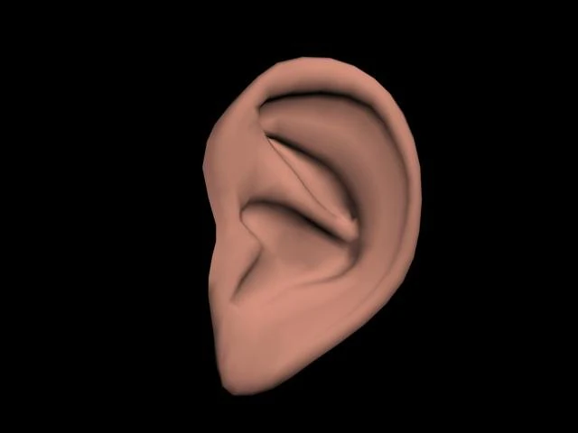 orelha Modelo 3D .c4d .max .obj .3ds .fbx .stl .blend 