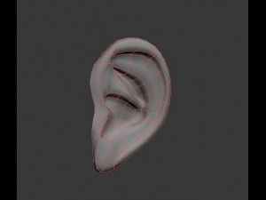 ear Modelo 3D