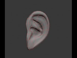 orelha Modelo 3D