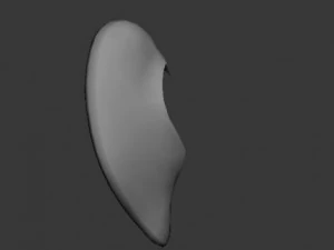 orelha Modelo 3D