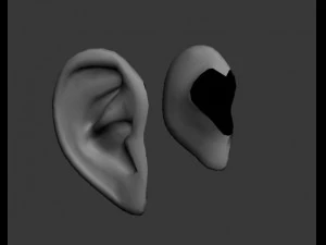 orelha Modelo 3D