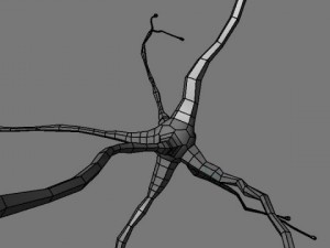 neurons 3D Model