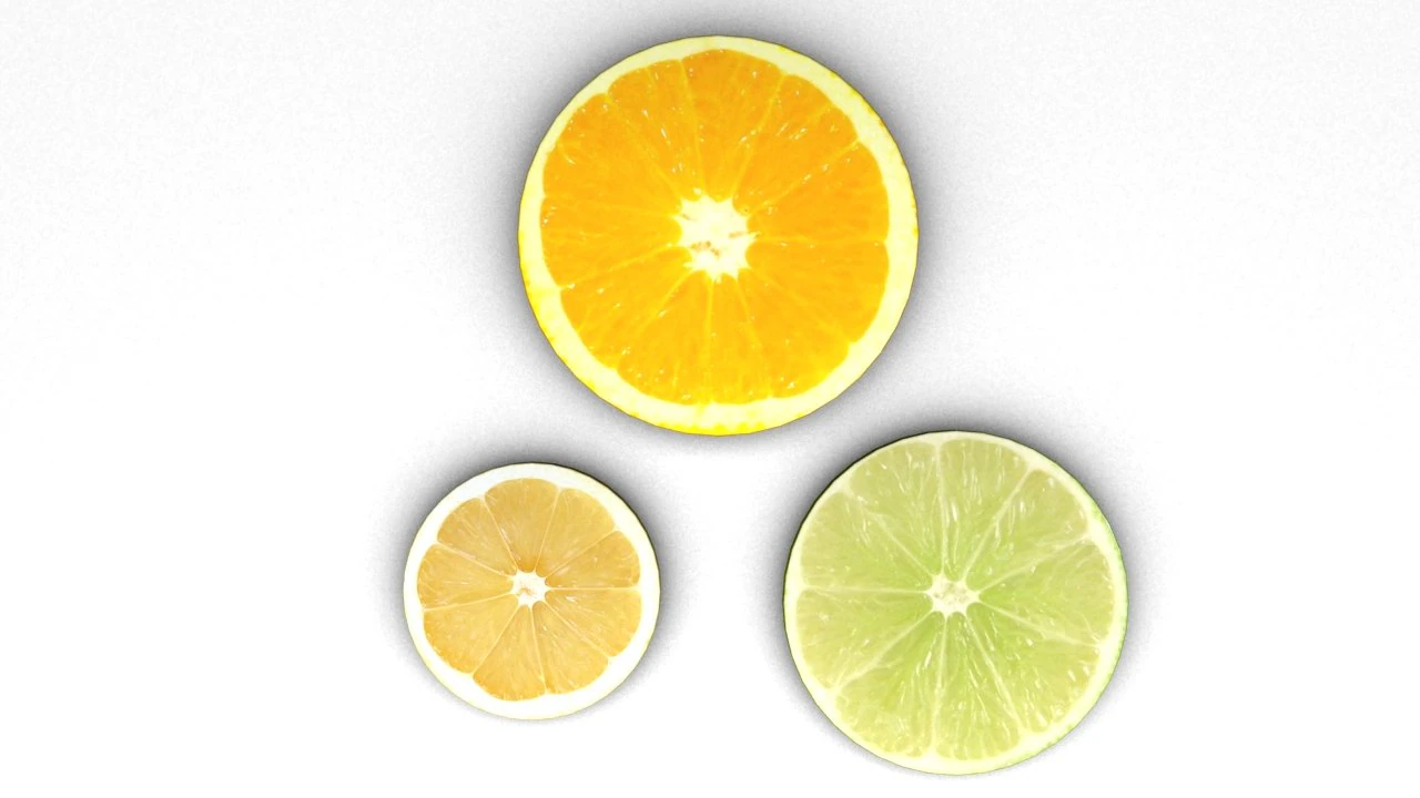 citrus fruit slices 3D Model .c4d .max .obj .3ds .fbx .stl .blend