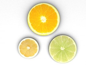 citrus fruit slices Modèle 3D