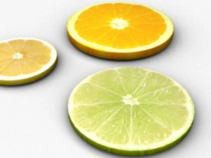 citrus fruit slices 3D Model