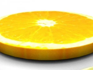 citrus fruit slices 3D Model