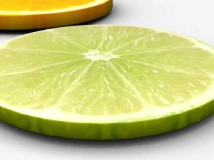 citrus fruit slices 3D Model