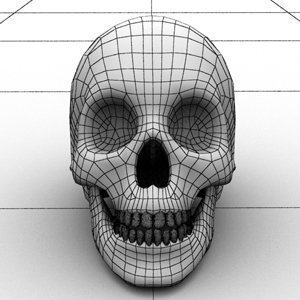 skull head 3D Model .c4d .max .obj .3ds .fbx .stl .blend 