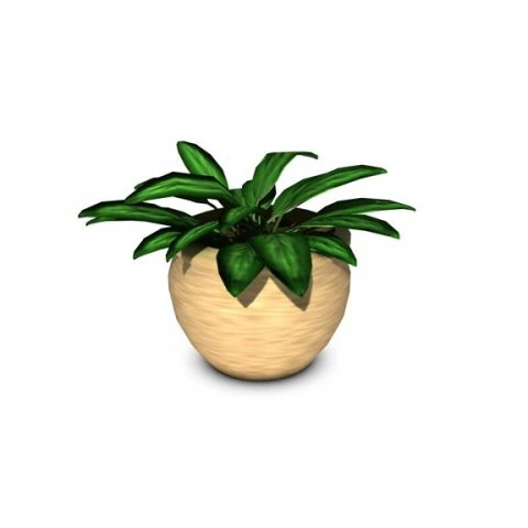 potted plant 3D Model .c4d .max .obj .3ds .fbx .stl .blend 