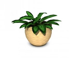 горшечное растение 3D Модель