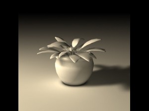 potted plant 3D मॉडल