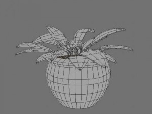 potted plant 3D मॉडल