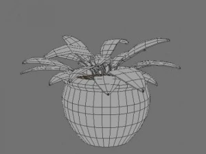 potted plant 3D Model