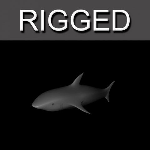 shark 3D Model .c4d .max .obj .3ds .fbx .stl .blend 