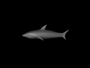 shark 3D Model