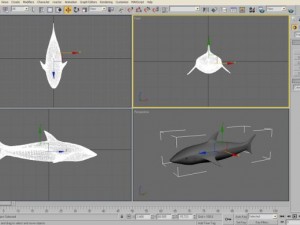 shark 3D Model