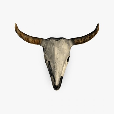 buffalo skull Model 3D .c4d .max .obj .3ds .fbx .stl .blend 