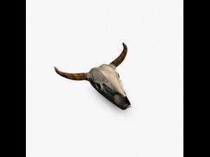 buffalo skull Model 3D