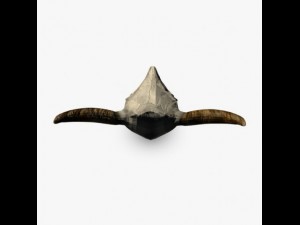 buffalo skull Model 3D