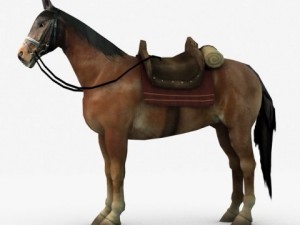 horse with saddle Model 3D
