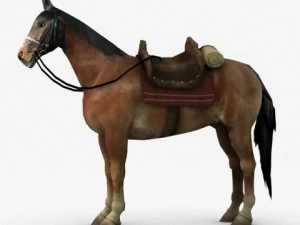 有鞍的马 3D 模型