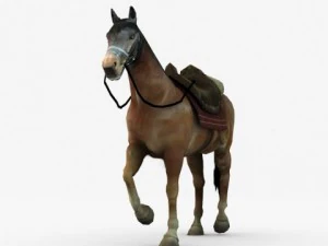 horse with saddle 3D Model