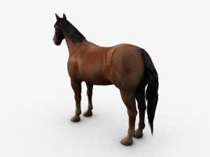 horse with saddle Model 3D