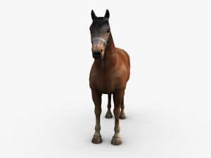horse with saddle Model 3D