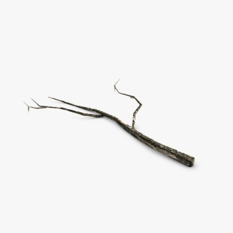 low poly dead tree trunk 3D 모델 .c4d .max .obj .3ds .fbx .stl .blend 