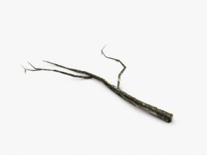 Низкополигональная ствол мертвого дерева 3D Модель