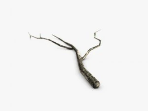 low poly dead tree trunk 3D Model