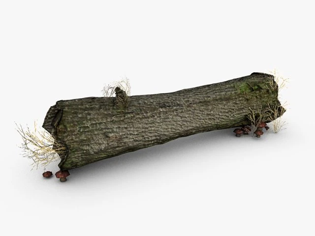 dead tree trunk with mushrooms 3D Model .c4d .max .obj .3ds .fbx .stl .blend 