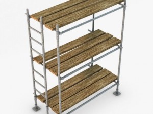 scaffold Model 3D
