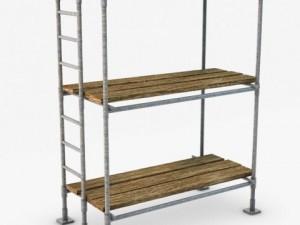 scaffold Model 3D