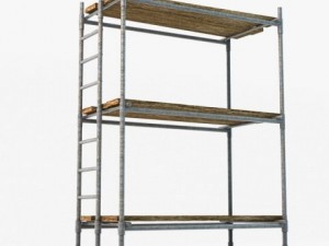 scaffold Model 3D