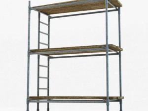 scaffold Model 3D
