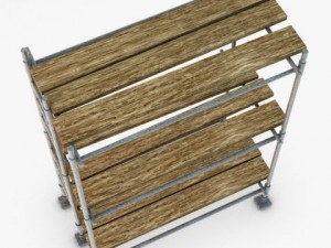 scaffold Model 3D