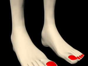 female feet 01 Modelo 3D