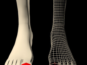 female feet 01 Model 3D