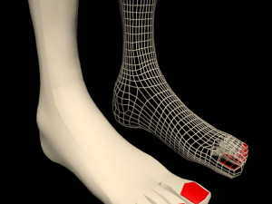 female feet 01 Model 3D