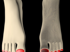 female feet 01 Model 3D