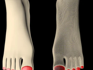 Female feet 01 3D Model