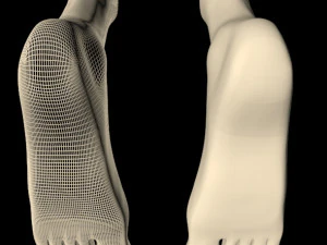 Female feet 01 3D Model