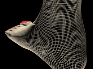 female feet 01 Model 3D