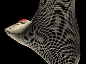 Female feet 01 3D Model