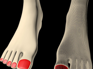 female feet 01 Model 3D